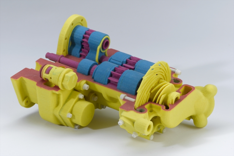 3D print cutaway model